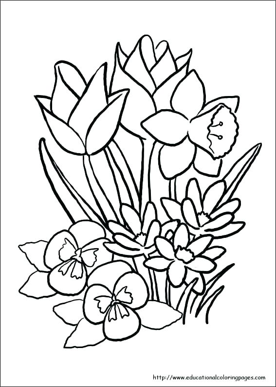 Spring Printable Coloring Pages Free Printable Spring Coloring 567x794 Spring Printable Coloring Pages Free Printable Spring Coloring