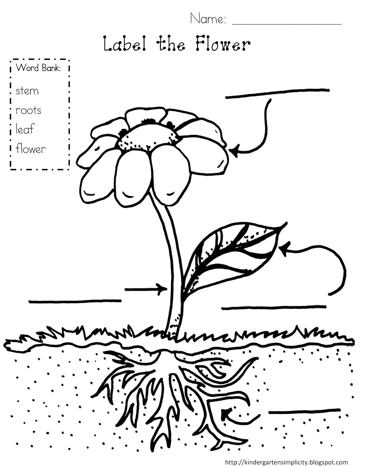 Plant Coloring Pages Parts Of A Ribsvigyapan Bean Plant Plant 1264x1600 Plant Coloring Pages Parts Of A Ribsvigyapan Bean Plant Plant
