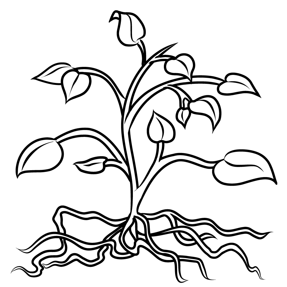Plant Coloring Pages To Download And Print For Free Ribsvigyapan 1000x1000 Plant Coloring Pages To Download And Print For Free Ribsvigyapan