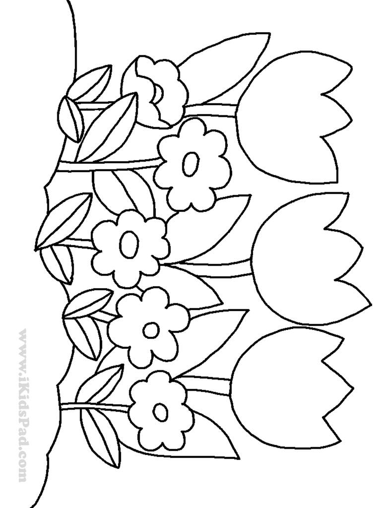 Row Of Tulip Flowers Coloring Pages For Kids Coloring Pages 768x1024 Row Of Tulip Flowers Coloring Pages For Kids Coloring Pages