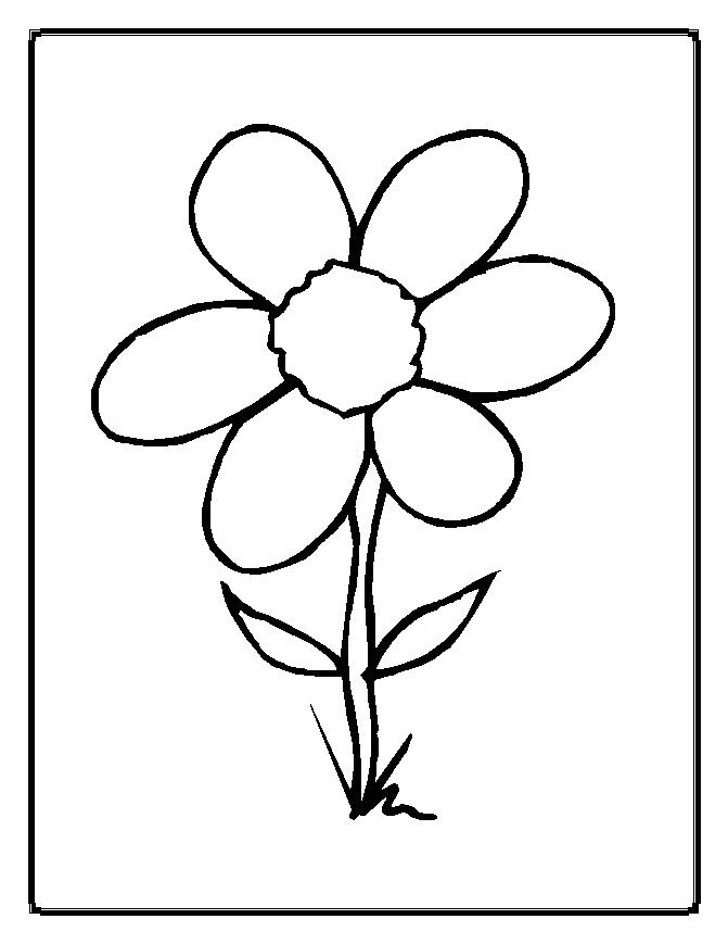 Flowers Coloring Pages The Sun Flower Pages 671x869 Flowers Coloring Pages The Sun Flower Pages