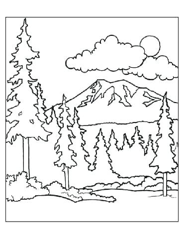 Plants Coloring Pages Rain Forest Animals Coloring Free Coloring 370x480 Plants Coloring Pages Rain Forest Animals Coloring Free Coloring