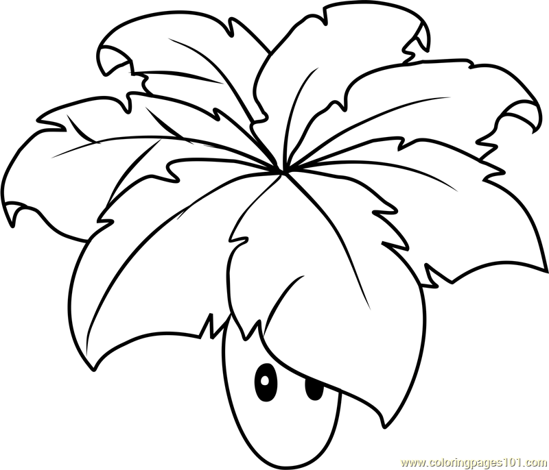 Plants Vs Zombies Coloring Pages 34 Coloring Pages For Kids 800x686 Plants Vs Zombies Coloring Pages 34 Coloring Pages For Kids