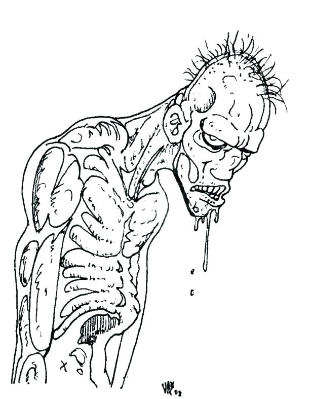 618x787 Plants Vs Zombies Coloring Book Plus Image Of Printable Plants Vs