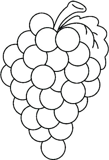 Grapes Coloring Page Grapes Coloring Page Plate Coloring Page 349x512 Grapes Coloring Page Grapes Coloring Page Plate Coloring Page