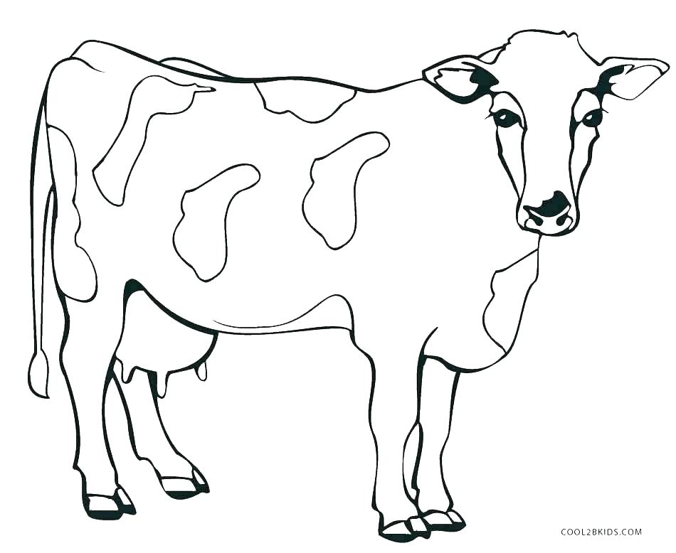 Nutrition Plate Coloring Page Of Flowers Flower Printable Cow 950x778 Nutrition Plate Coloring Page Of Flowers Flower Printable Cow