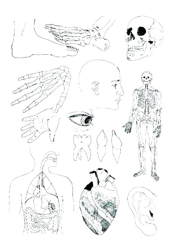 Biology Coloring Pages Biology Coloring Science Coloring Pages 600x847 Biology Coloring Pages Biology Coloring Science Coloring Pages