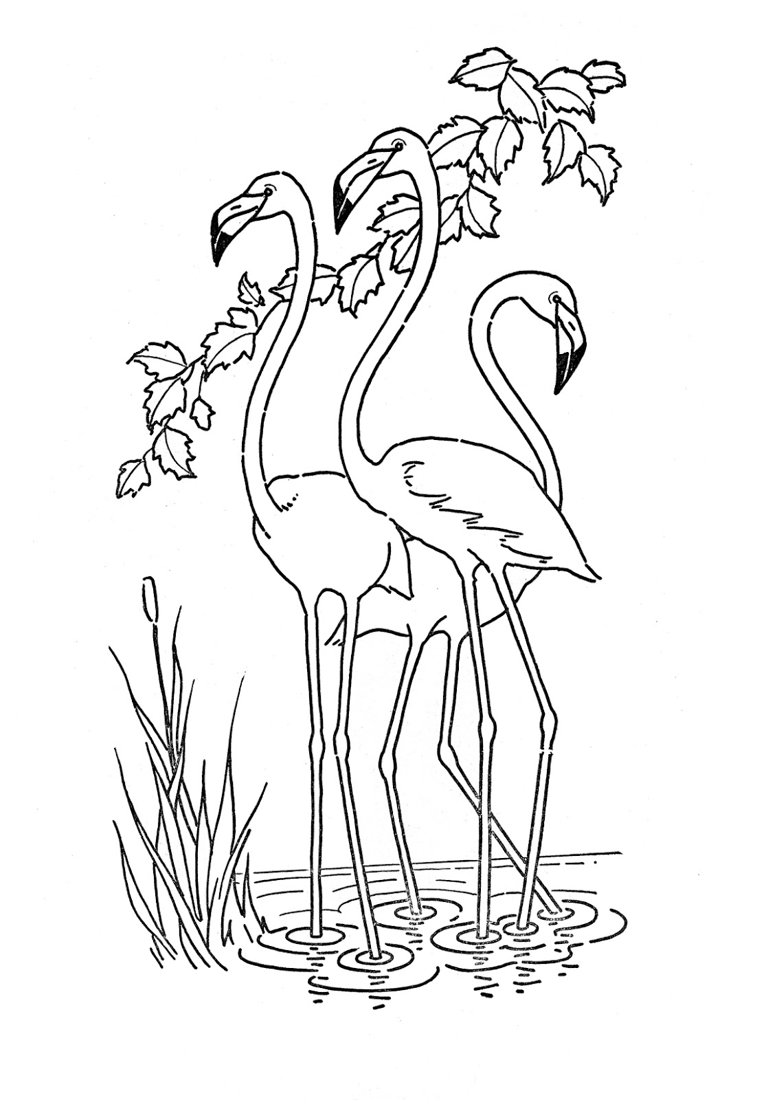 1115x1600 Simple Decoration Flamingo Coloring Page Kids Printable Flamingo