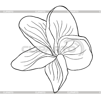 Hawaiian Flowers Stock Photos And Vektor Eps Clipart Cliparto 400x400 Hawaiian Flowers Stock Photos And Vektor Eps Clipart Cliparto