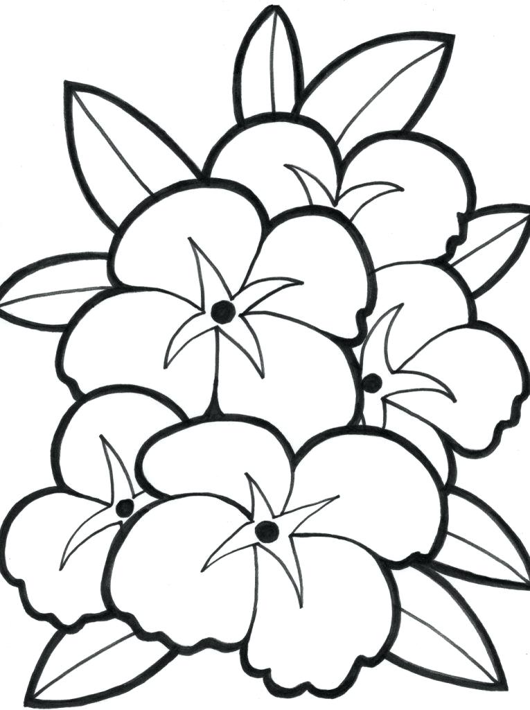 Cute Flower Coloring Pages Cute Flower Coloring Pages For Kids 765x1024 Cute Flower Coloring Pages Cute Flower Coloring Pages For Kids