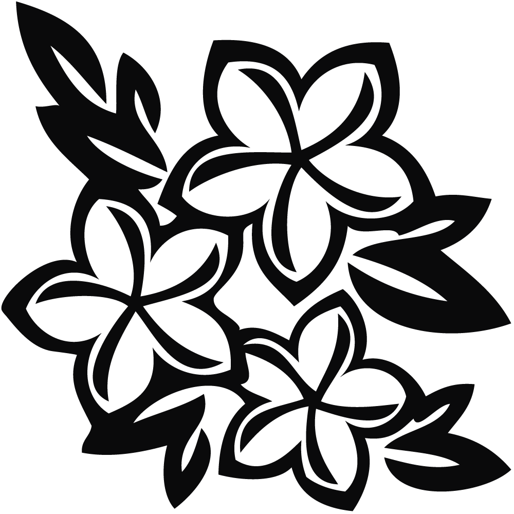 Hawaiian Tree White Flowers Jos Gandos Coloring Pages For Kids 1000x1000 Hawaiian Tree White Flowers Jos Gandos Coloring Pages For Kids