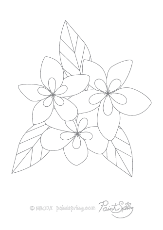 Printable Flower Adult Coloring Book {Get 3 Free Pages} 335x474 Printable Flower Adult Coloring Book {Get 3 Free Pages}