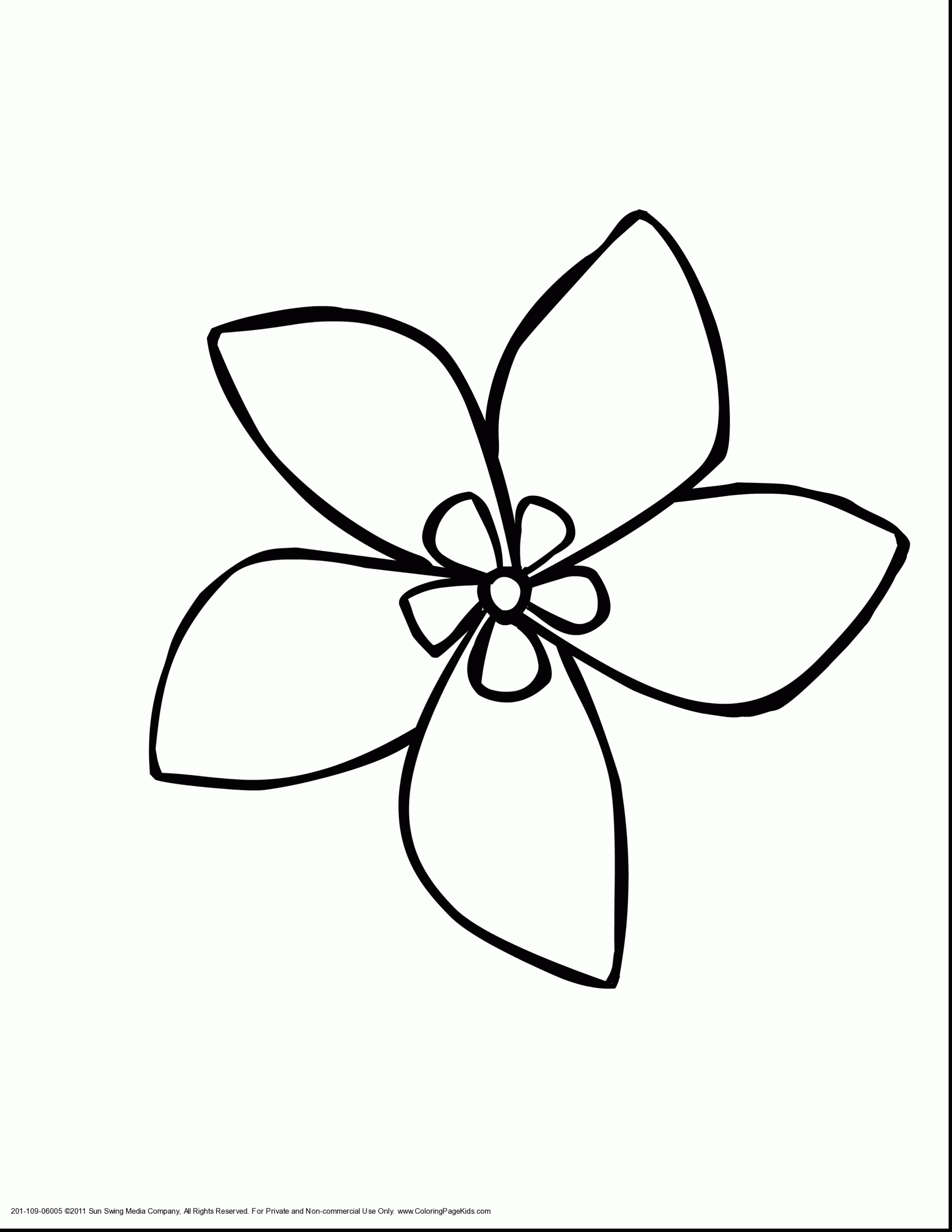 Awesome Jasmine Flower Coloring Pages Design Printable Coloring 2805x3630 Awesome Jasmine Flower Coloring Pages Design Printable Coloring