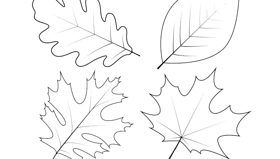 960x544 Autumn Leaf Coloring Pages Coloring Page Of Leaves Maple Tree