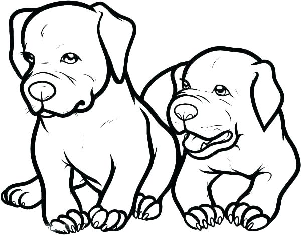 600x469 Coloring Pages Cute Coloring Pages Cute Cartoon Dog Coloring Pages