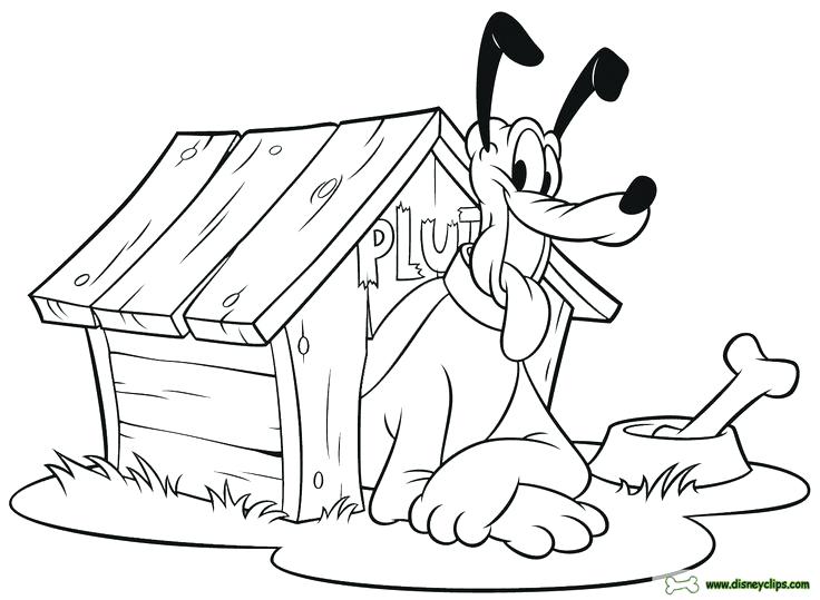 736x539 Coloring Pages Flowers For Adults Disney Goofy And Pluto Pictures
