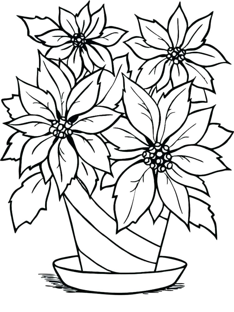 750x1000 Poinsettia Coloring Page Poinsettia Coloring Page Poinsettia
