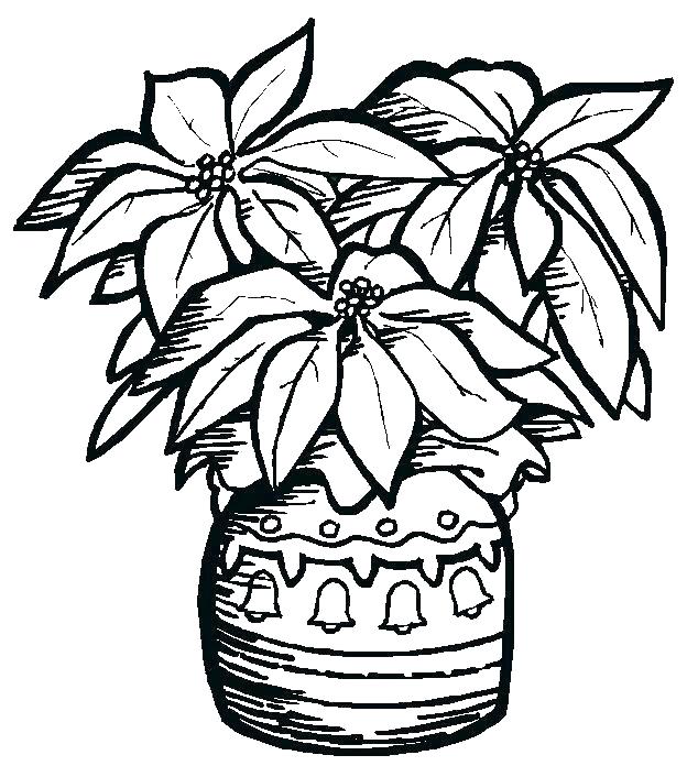624x696 Amazing Poinsettia Coloring Page For Log Cabin Coloring Page