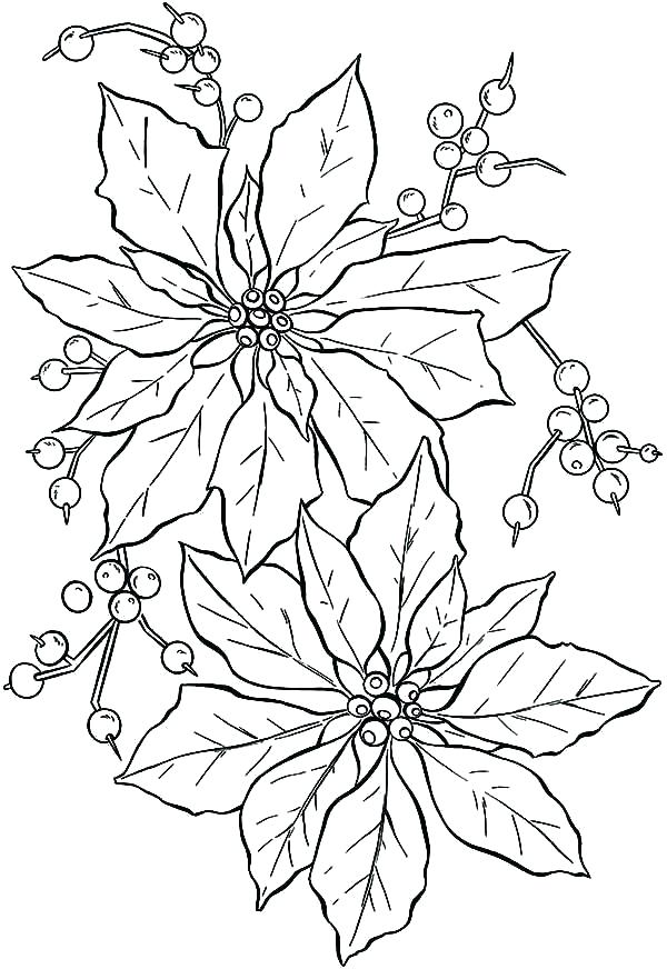 600x872 Coloring Book Pages Flowers Beautiful Flowers Coloring Pages