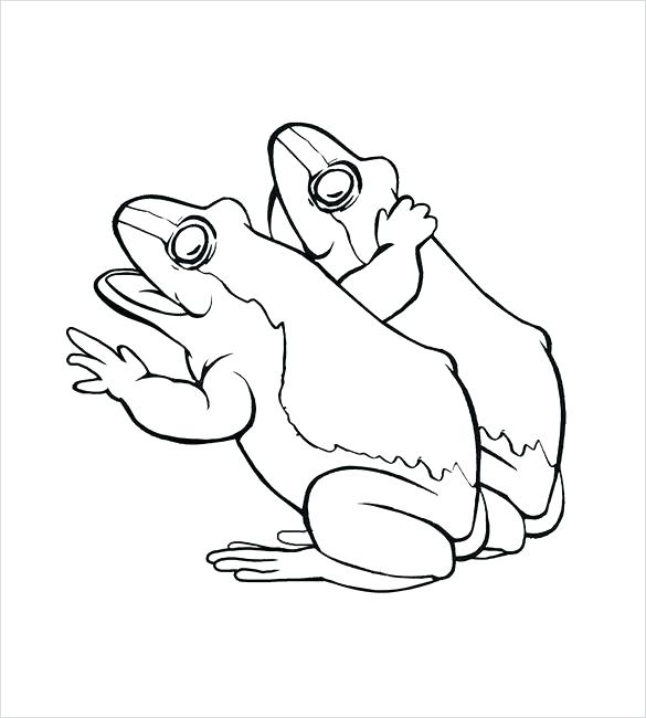 585x650 Coloring Page Frog Pacific Tree Frog Coloring Page Pictures