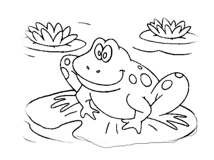 728x546 Frogs Coloring Pages Classy The Frog Coloring Es Crayola Photo