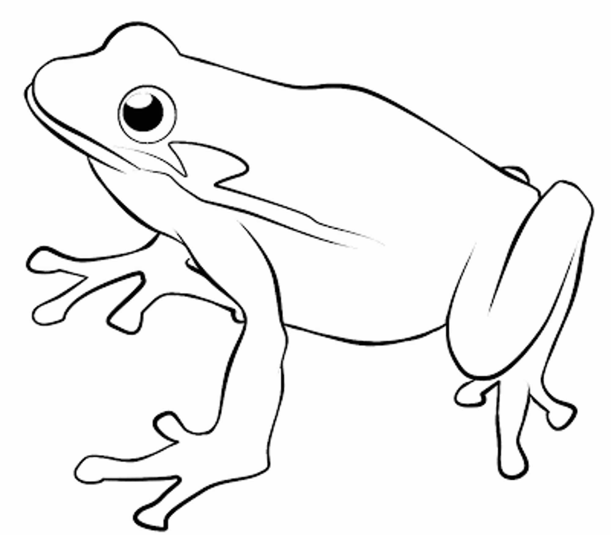 2000x1750 Lavishly Poison Dart Frog Coloring Pages Free For Kids By On