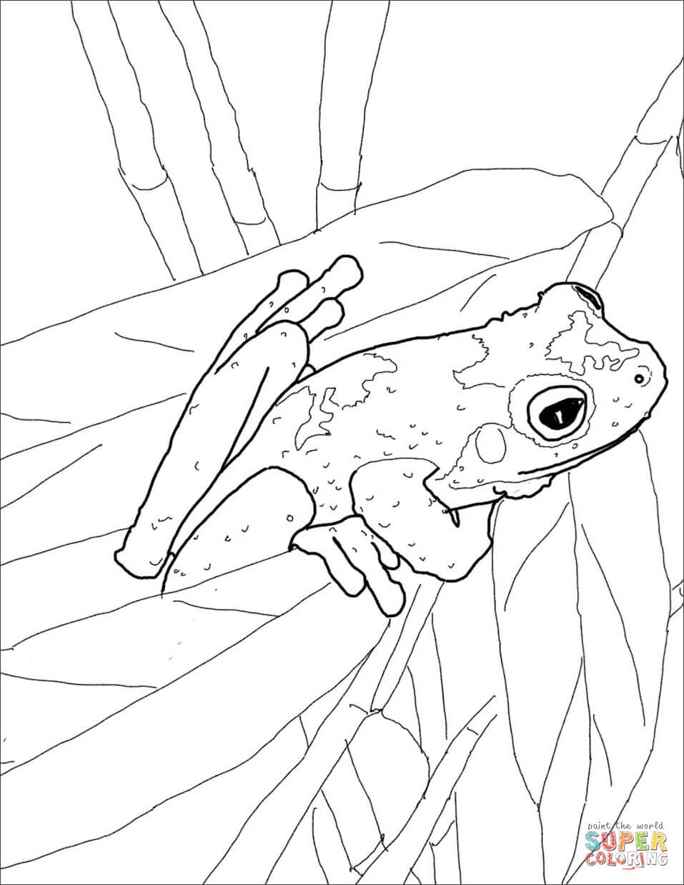 957x1239 Poison Dart Frog Coloring Page Mosm