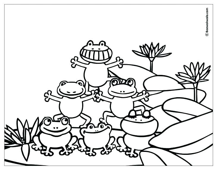 736x572 Amusing Coloring Page Of A Frog Printable Coloring Page Tree Frog