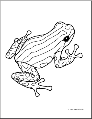 304x392 Clip Art Frogs Pasco Poison Dart Frog (Coloring Page)