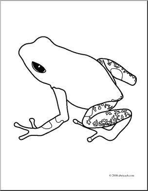 304x392 Clip Art Frogs Strawberry Poison Dart Frog (Coloring Page) I