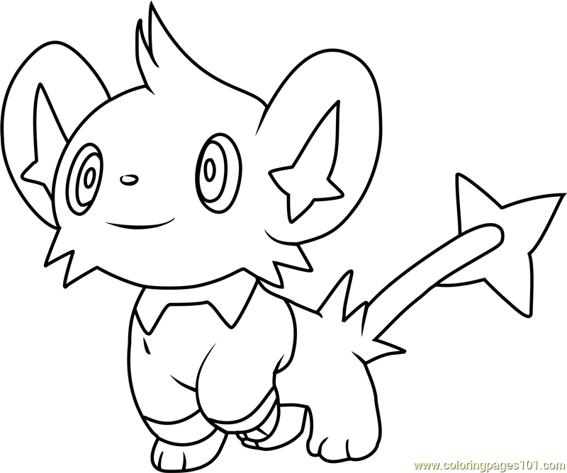 Pokemon Coloring Pages Shinx 800x668 Pokemon Coloring Pages Shinx