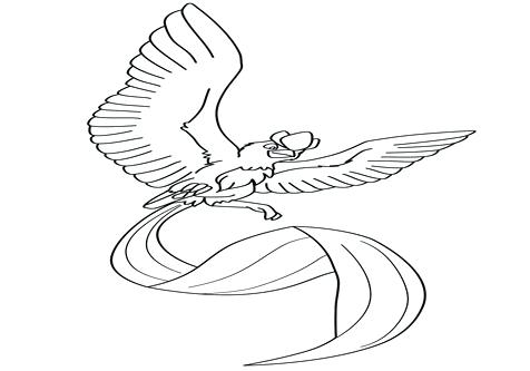 476x333 Articuno Coloring Pages Brexitbook.club
