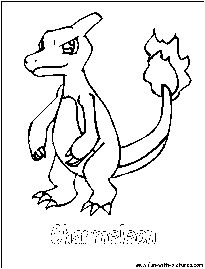 Charmeleon Coloring Pages 800x1050 Charmeleon Coloring Pages