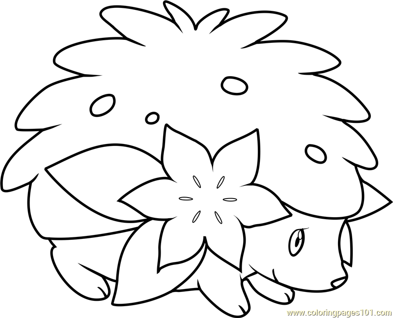 Pokemon Coloring Pages Shaymin 800x647 Pokemon Coloring Pages Shaymin