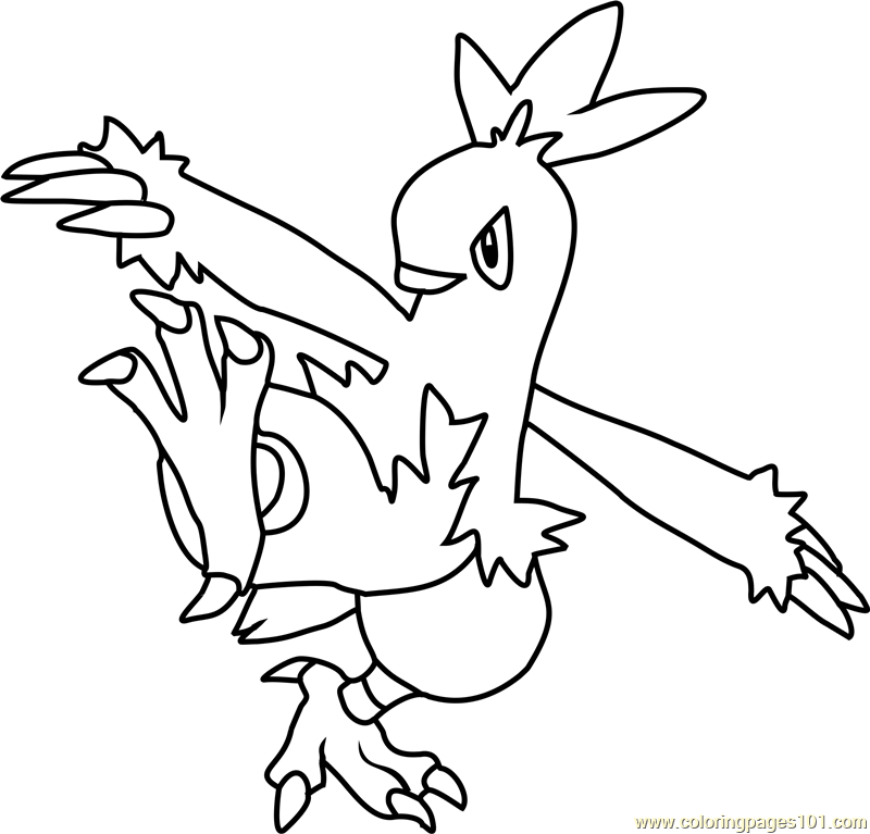 800x767 Combusken Pokemon Coloring Page