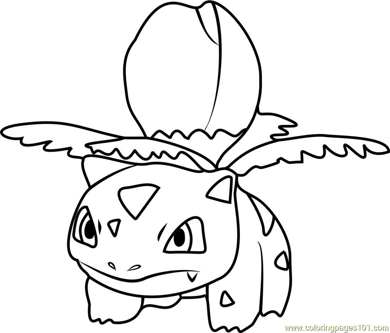 800x683 Ivysaur Pokemon Go Coloring Page
