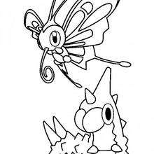 Wingull, Mudkip, Pikachu, Treecko And Torchic Coloring Pages 220x220 Wingull, Mudkip, Pikachu, Treecko And Torchic Coloring Pages