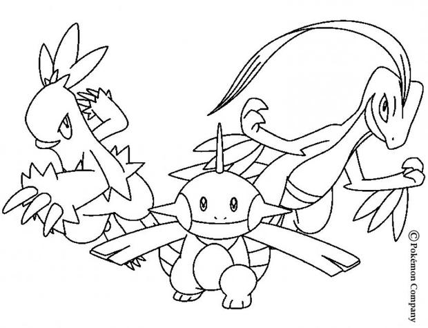 Combusken And Marshtomp Coloring Pages 620x475 Combusken And Marshtomp Coloring Pages