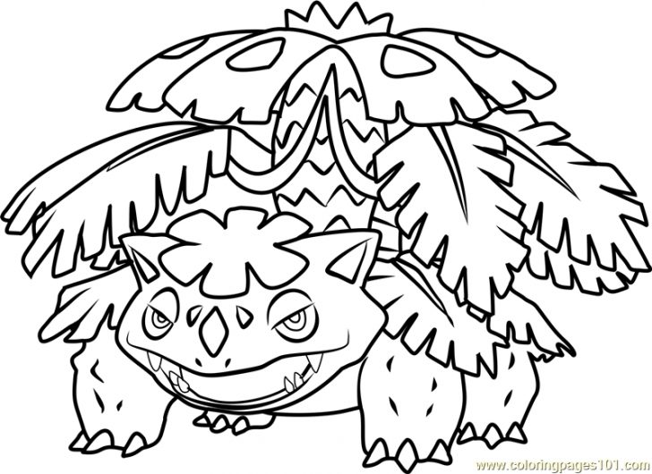Mega Venusaur Coloring Pages 728x530 Mega Venusaur Coloring Pages
