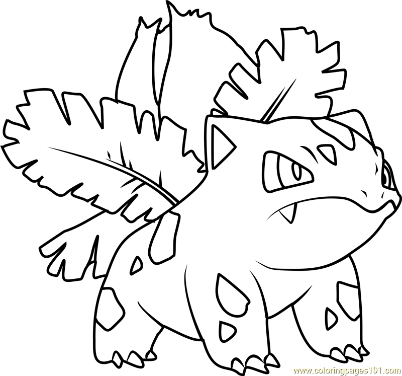 Pokemon Ivysaur Coloring Pages 800x747 Pokemon Ivysaur Coloring Pages
