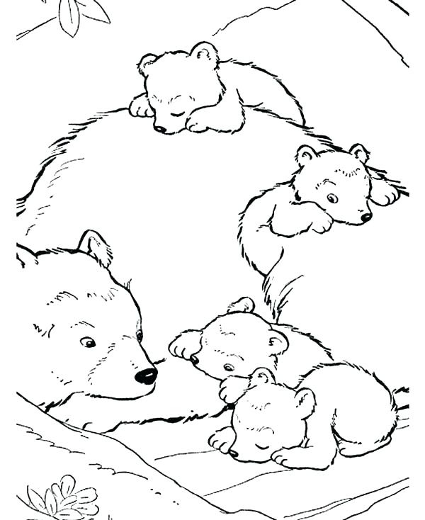 600x734 Coloring Pages Of Polar Bears Coloring Pages Draw A Polar Bear