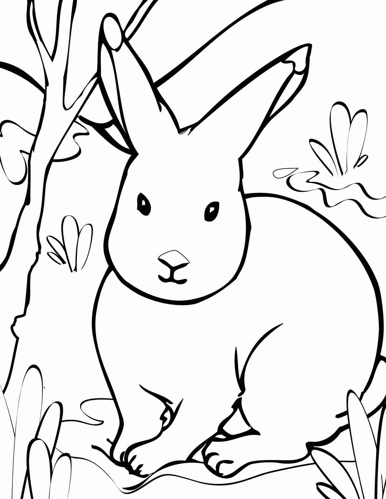 1275x1650 Arctic Animal Coloring Pages Olegratiy