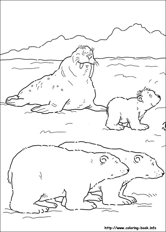 567x794 Little Polar Bear Coloring Picture