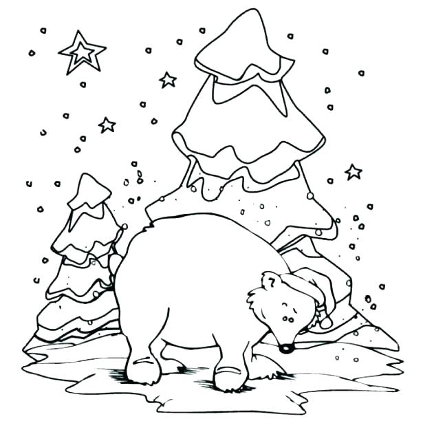 615x612 Polar Bears Coloring Pages Polar Animals Coloring Pages Polar