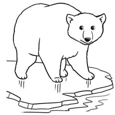 230x230 Top 10 Free Printable Polar Bear Coloring Pages Online