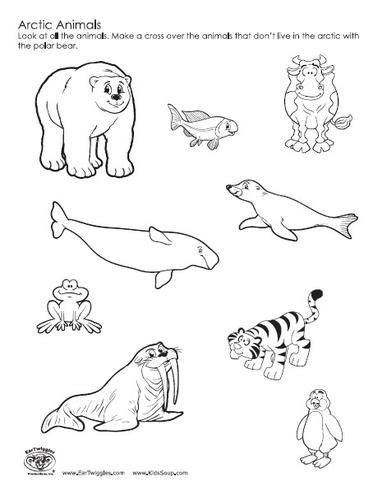387x494 Arctic Tundra Colouring Pages, Polar Animals Coloring Pages