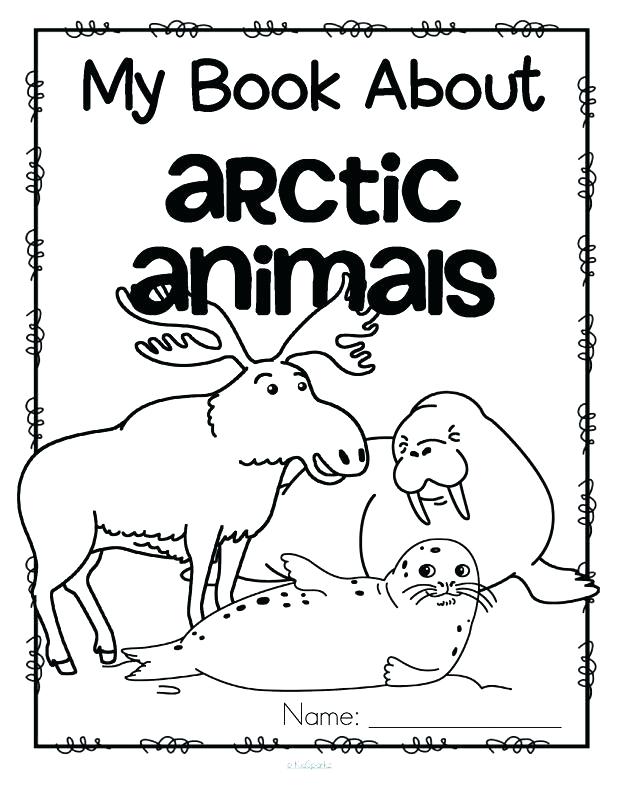 618x800 Arctic Animal Coloring Pages Arctic Animals Coloring Pages