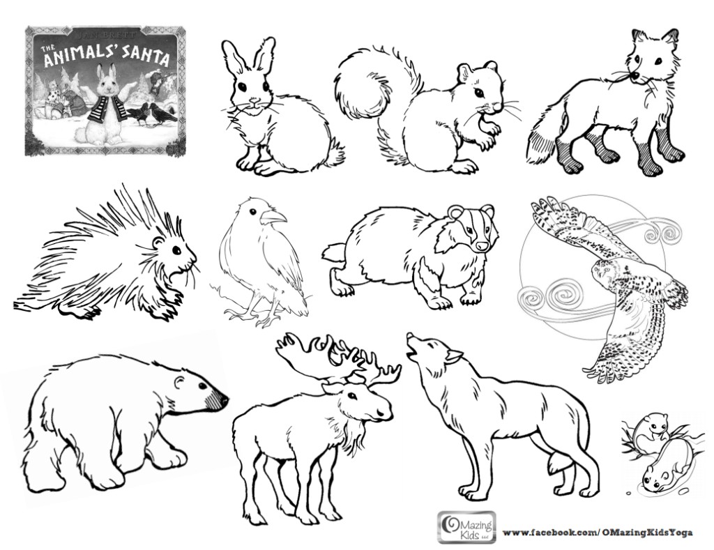 1024x789 Arctic Animals Coloring Pages
