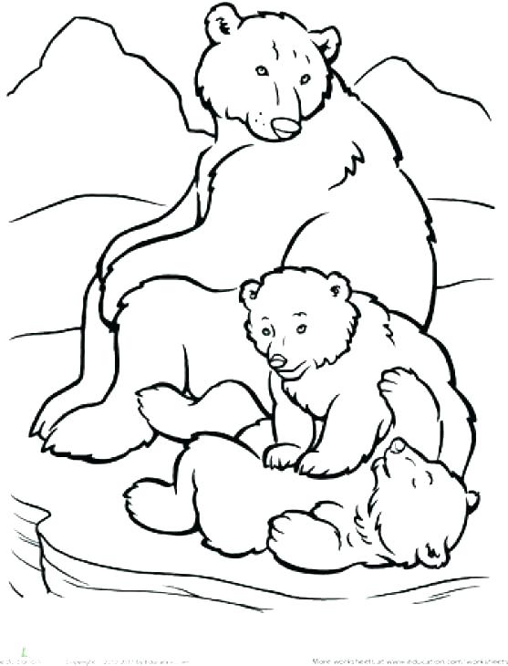 557x730 Arctic Animals Coloring Pages Free Polar Bear Baby Printable Beau