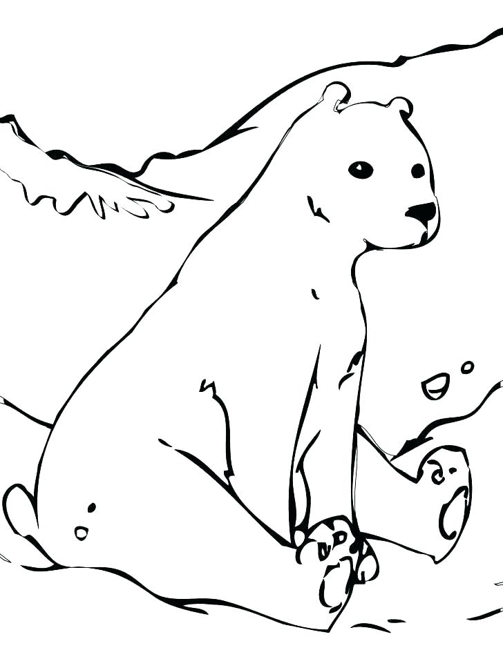 Polar Bear Color Page Polar Bear Coloring Pages Polar Bear Polar 728x942 Polar Bear Color Page Polar Bear Coloring Pages Polar Bear Polar